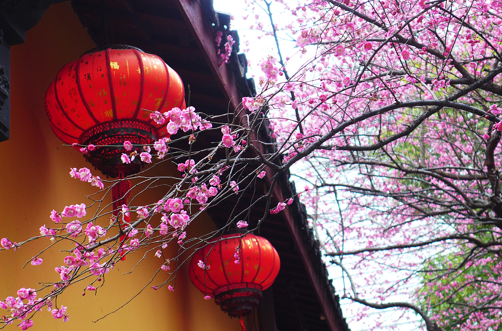 Plum blossoms bloom at a temple in Huzhou, Zhejiang Province on March 1, 2024. /CFP