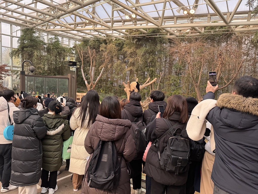 South Koreans queue up for hours to say goodbye to the giant panda Fu Bao on March 3, 2024, the last public viewing day at the Everland Resort. /CFP