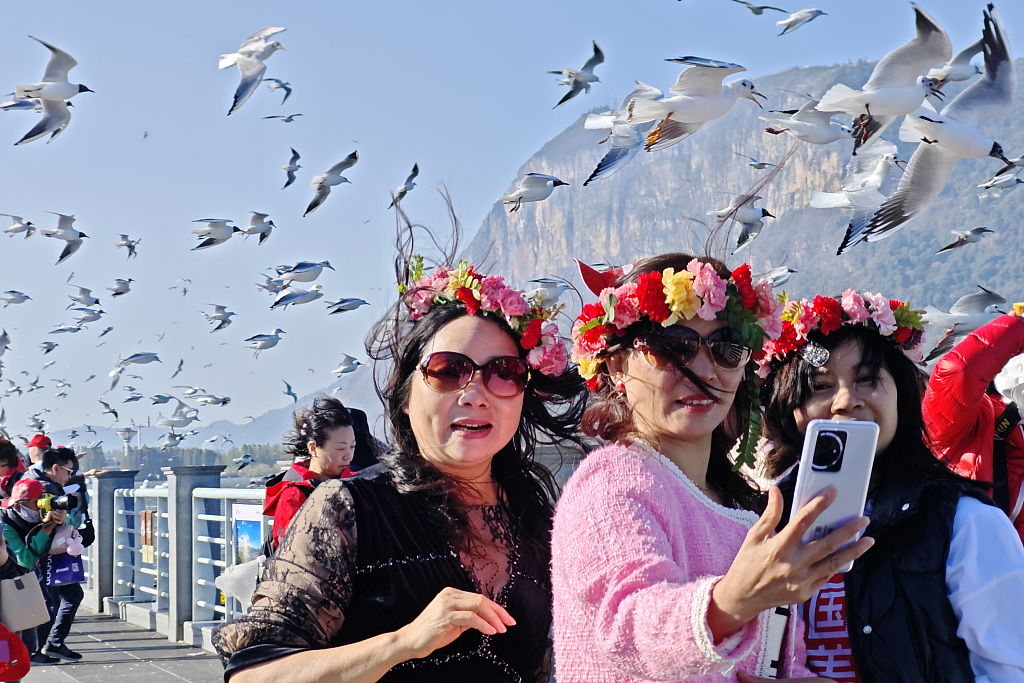 Tourists take photos with the black-headed gulls at Diachi Lake in Kunming, Yunnan Province, March 4, 2024. /CFP