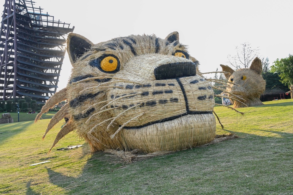 A tiger's head-shaped straw artwork is on display in Nanning, Guangxi, March 4, 2024. /IC