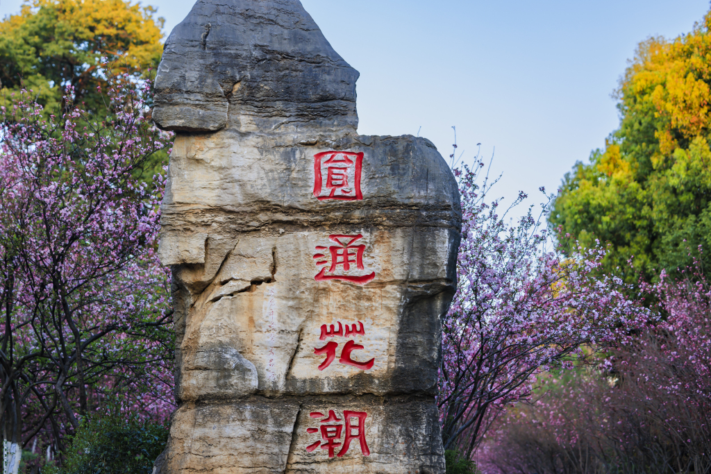 A stone bearing the Chinese characters 