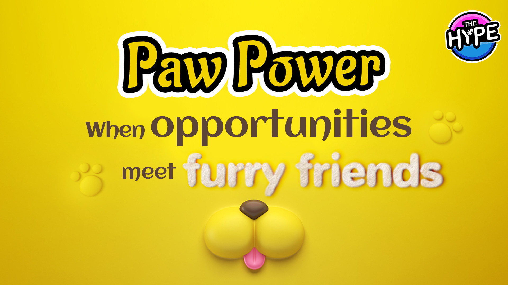 Live: THE HYPE – Paw Power: When opportunities meet furry friends