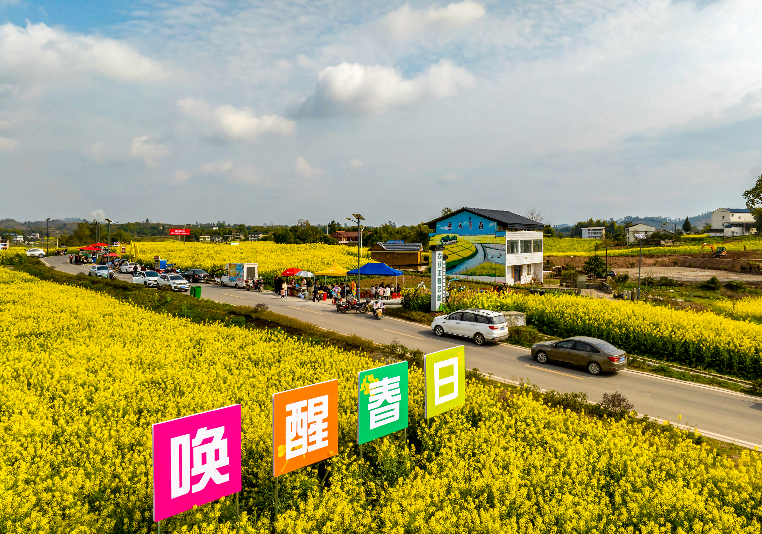 Blooming rapeseed flowers are pictured in Zenggongqiao Village of Guang'an City, southwest China's Sichuan Province on March 7, 2024. /IC