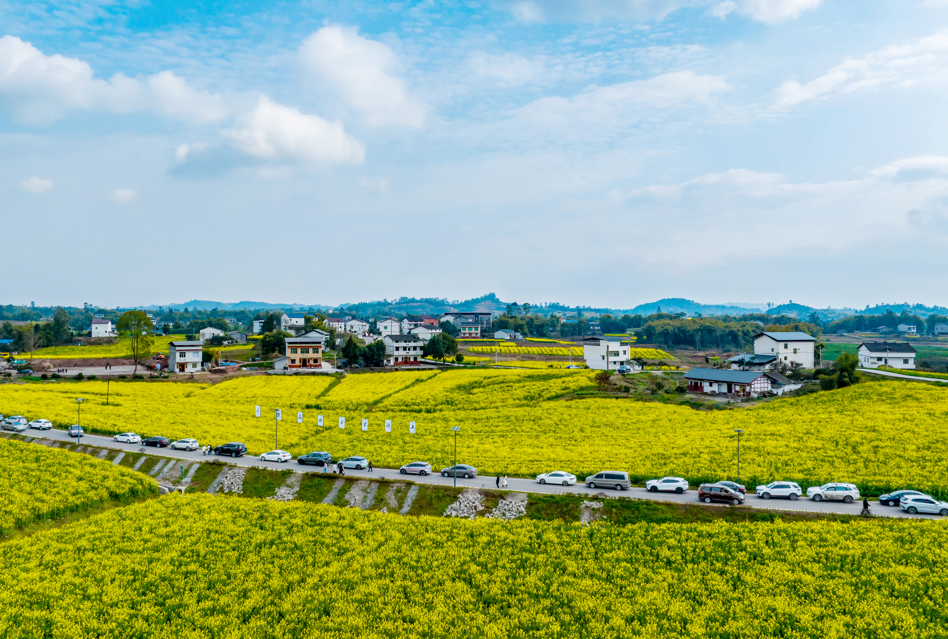 A bird's-eye view of Zenggongqiao Village, which is replete with blooming rapeseed flowers, in Guang'an City, southwest China's Sichuan Province on March 7, 2024. /IC