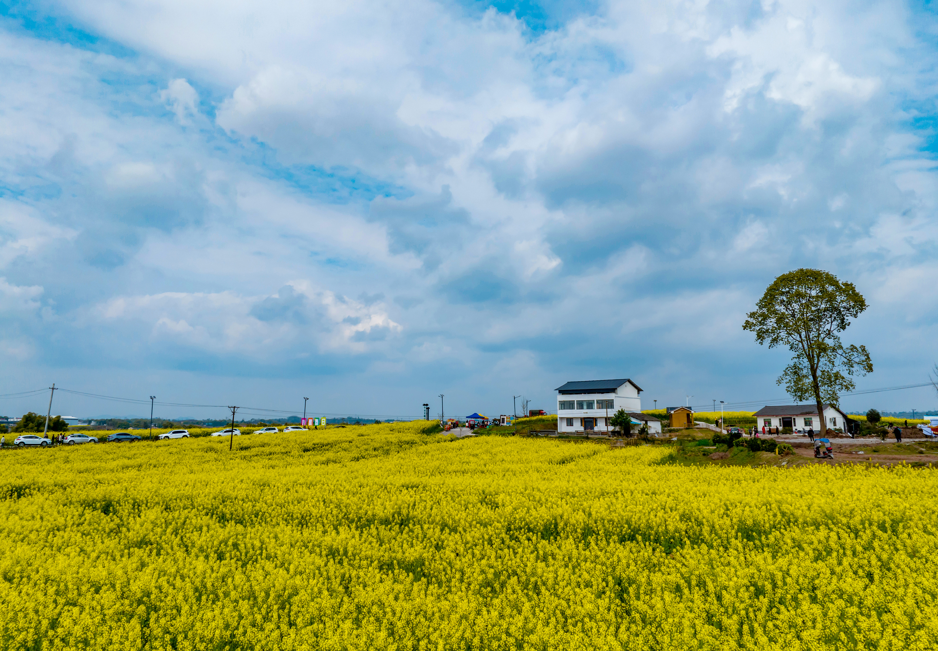The blooming rapeseed flowers, together with a cloudy sky, form a picturesque view in Zenggongqiao Village of Guang'an City, southwest China's Sichuan Province on March 7, 2024. /IC