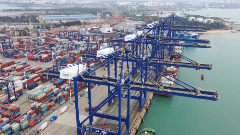 Containers at Yangpu International Container Terminal. /Sansha Satellite TV