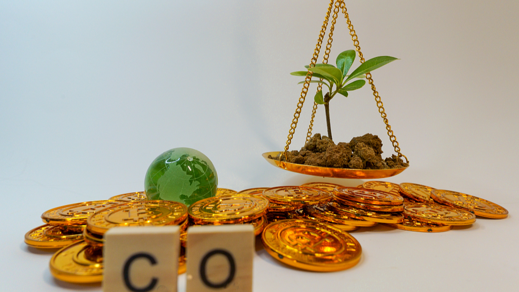 Letting logging offenders buy carbon credits needs prudence: experts