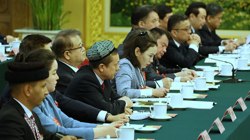 National legislators, political advisors share Xinjiang's progress