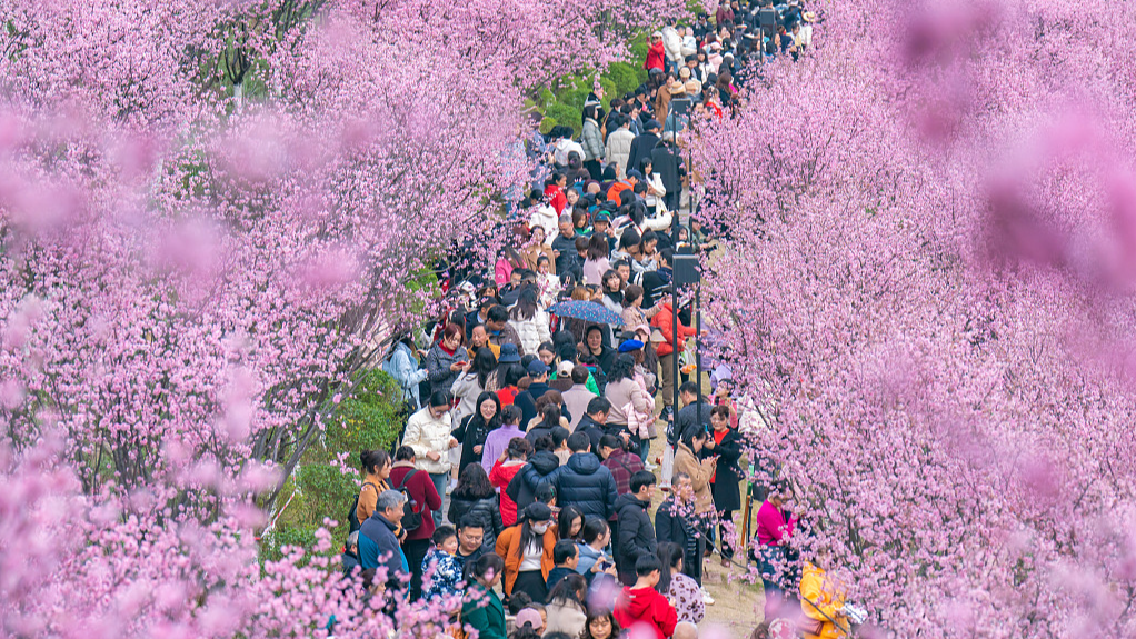 Decades of reforestation pays off in China
