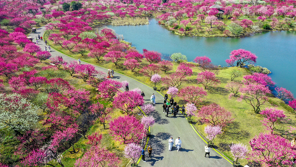 People enjoy the spring scenery at a park in Changxing, east China's Zhejiang Province on February 26, 2024. /CFP
