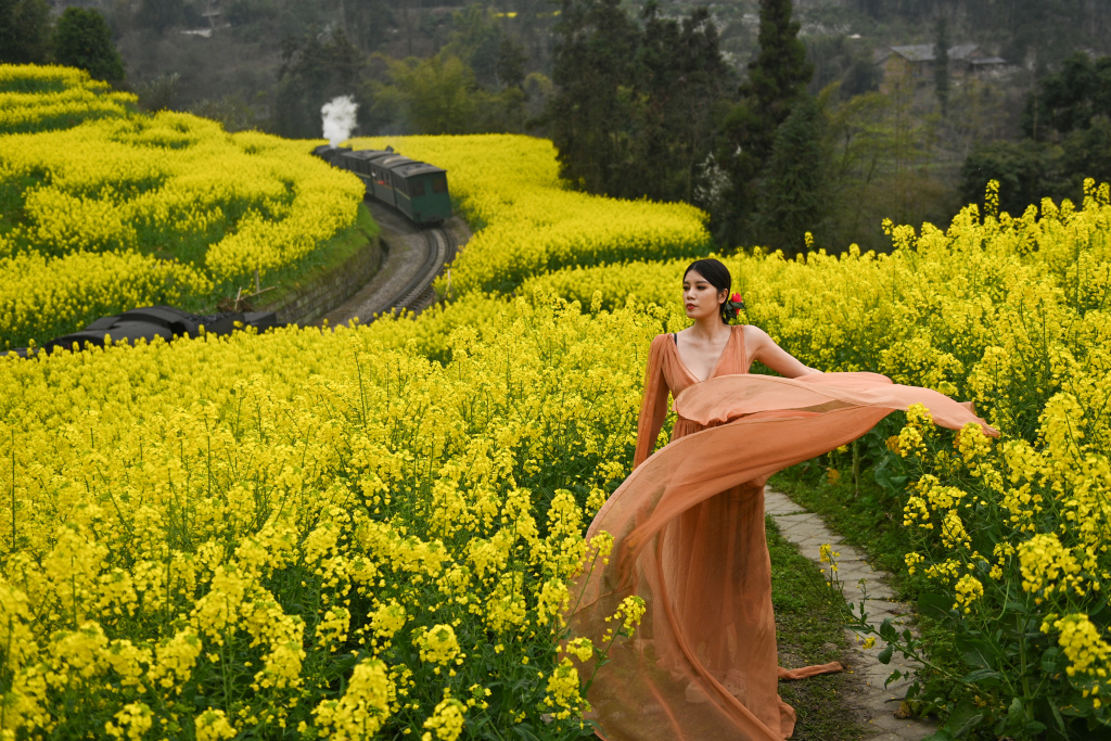 A woman walks through rapeseed flower fields near the railway of the Jiayang steam train in Qianwei County of Leshan, Sichuan Province, March 12, 2024. /CFP