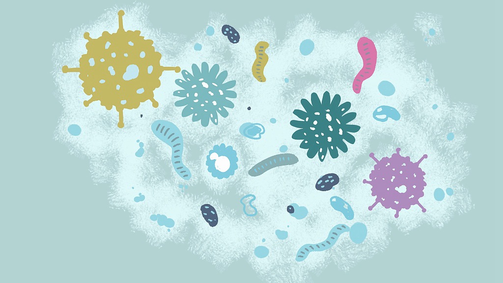 Viruses and bacteria. /CFP
