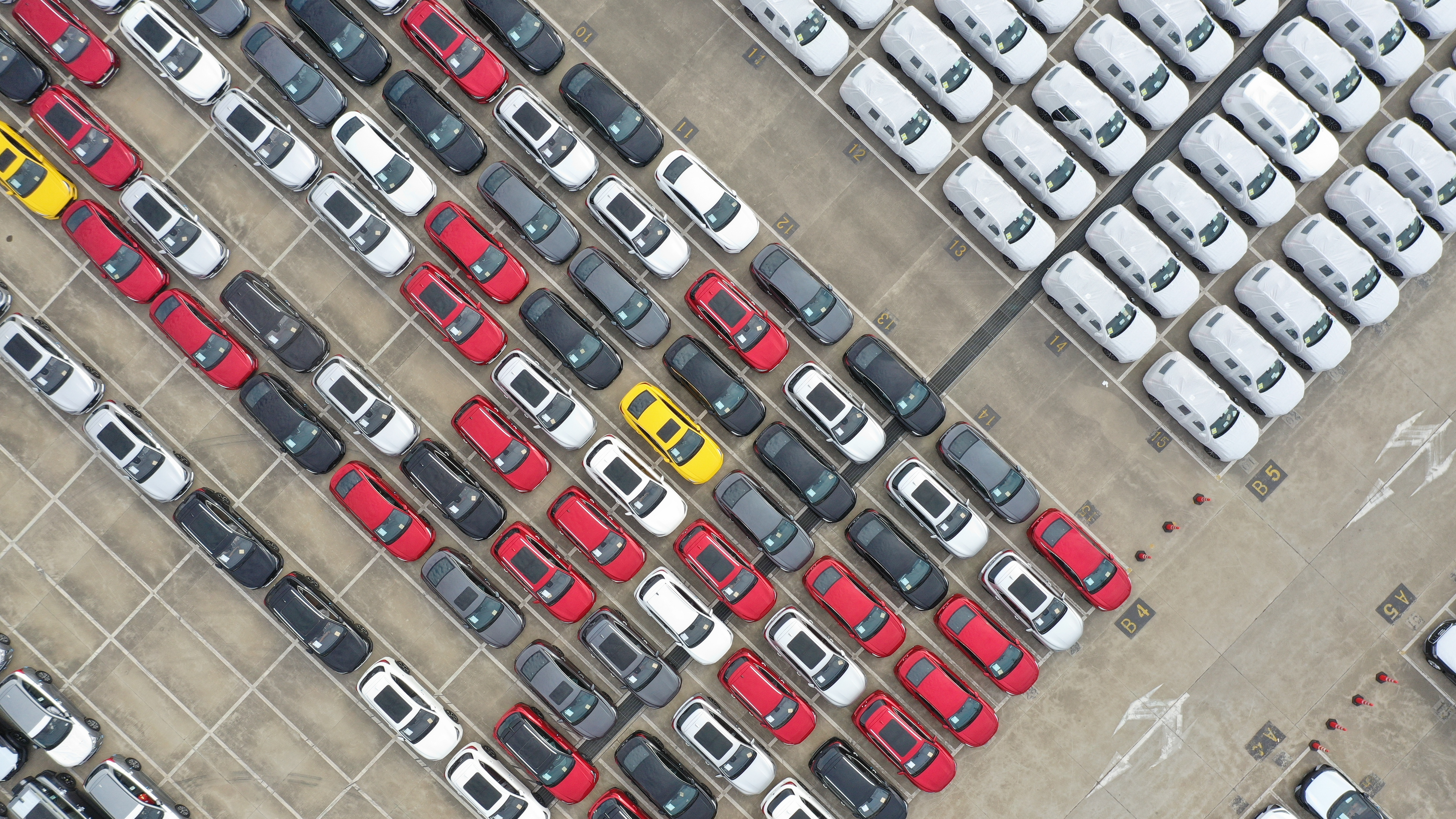 Robust start of foreign trade signals confidence in China's economy