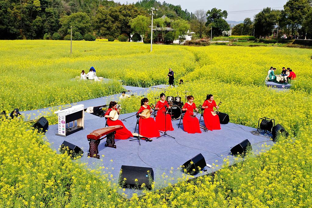 A file photo shows an ensemble performing an outdoor concert in the rapeseed flower fields of Wuyuan County, Jiangxi Province. /CFP