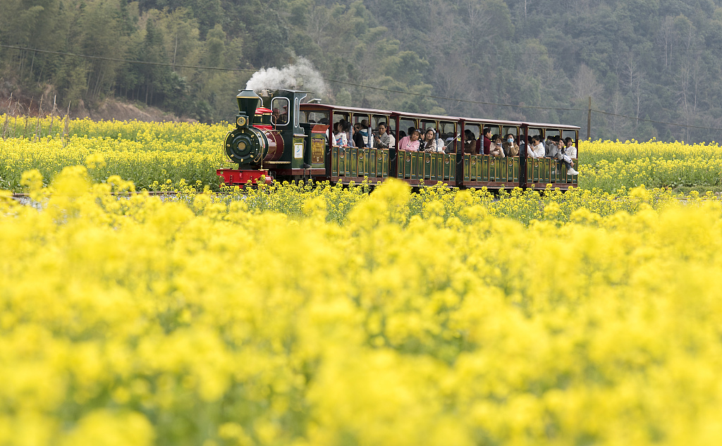 A file photo shows visitors riding a steam train through scenic rapeseed flower fields in Wuyuan County, Jiangxi Province. /CFP