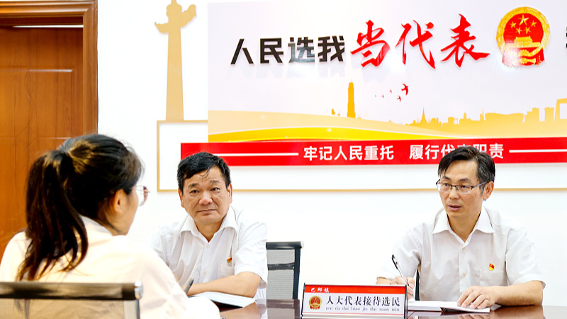 Deputies of the Xiajiang County People's Congress receive voters at a deputy contact point in Ji'an City, east China's Jiangxi Province, June 8, 2022. /CFP