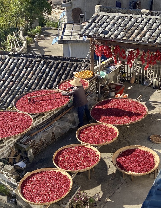 A farmer puts medicinal materials under sunlight in his yard in Chizhou City, Anhui Province, October 19, 2022. /CFP 