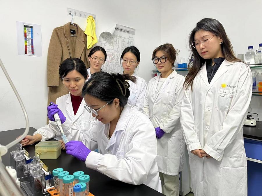 Researchers from the School of Life Sciences of Tianjin University conduct an experiment at a laboratory in north China's Tianjin Municipality, March 15, 2024. /Xinhua