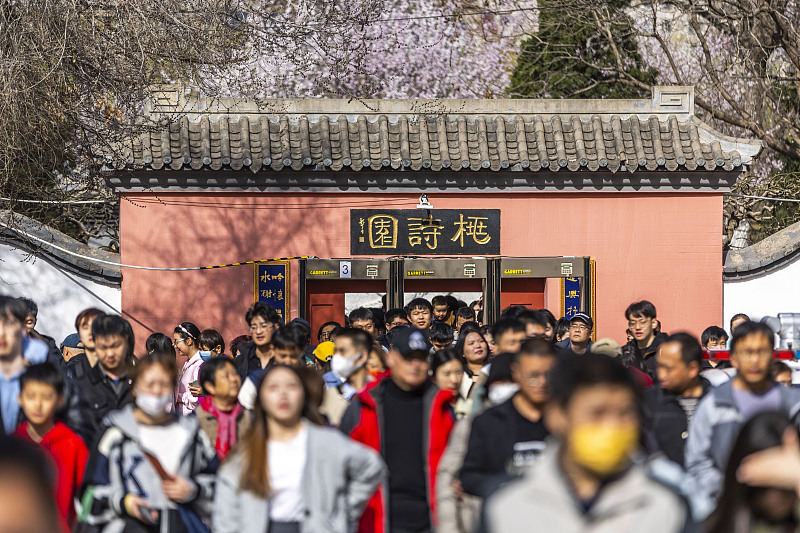 People visit a tourist spot to participate in a peach flower themed festival in Tianjin, March 15, 2024. /CFP