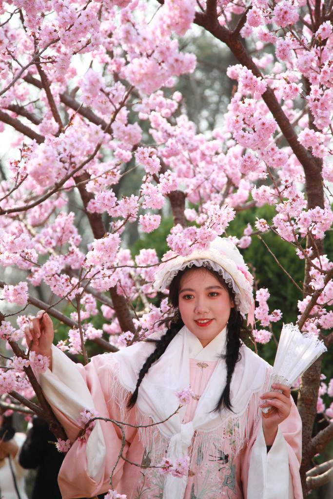 A visitor poses for photos with the blooming cherry blossoms in Nanjing, Jiangsu Province, March 16, 2024. /VCG