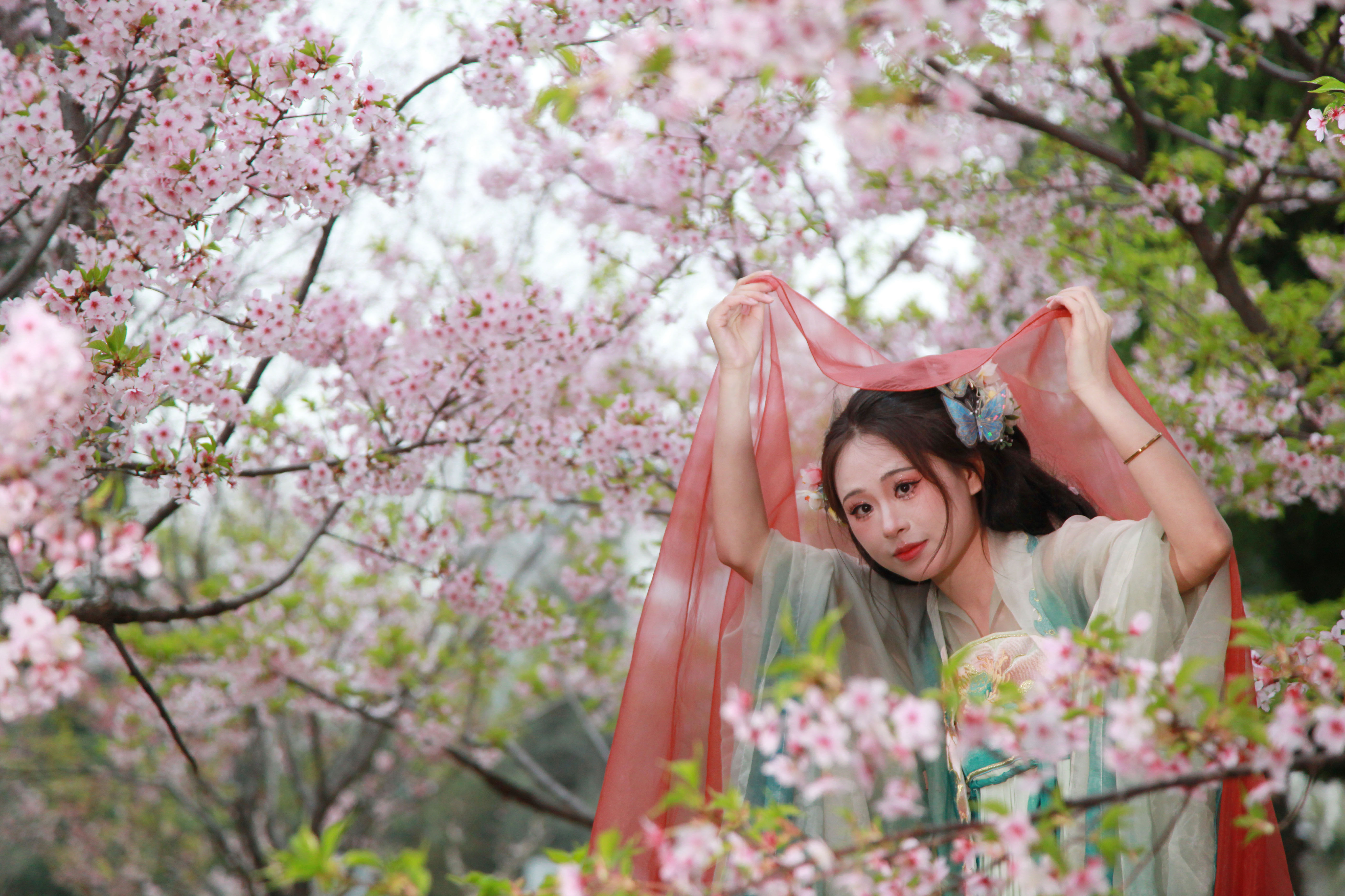 A girl poses under blooming cherry blossoms at Xuanwu Lake Park in Nanjing, east China's Jiangsu Province on March 17, 2024. /IC