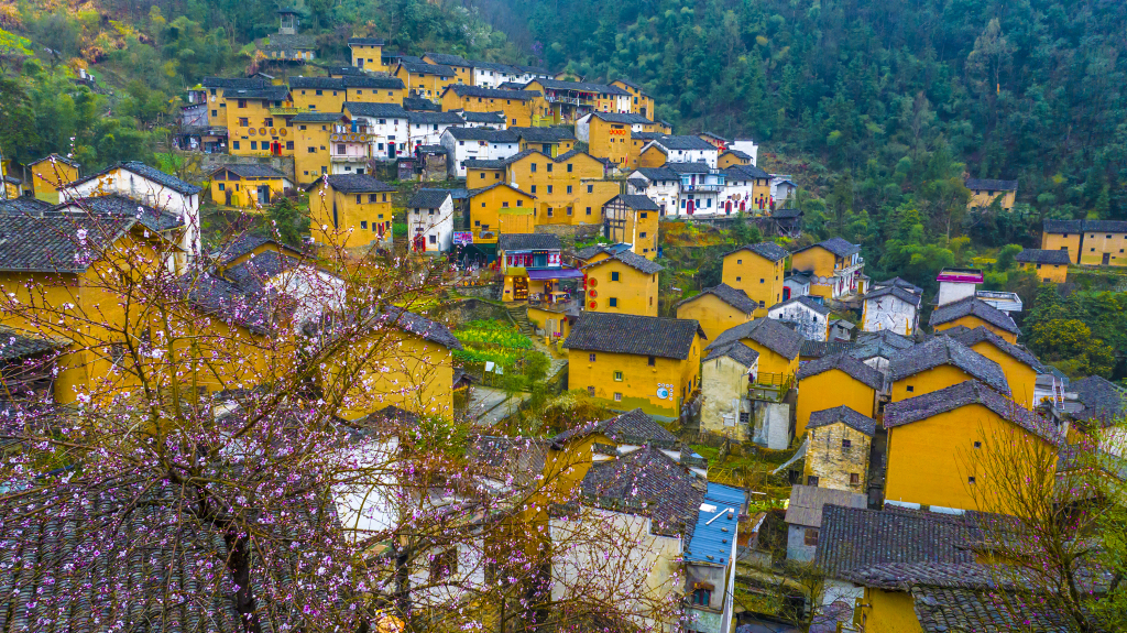 The Yangchan Tulou scenic area located on hillsides is pictured in Yangchan Village of Huangshan City, east China's Anhui Province on March 17, 2024. /CFP