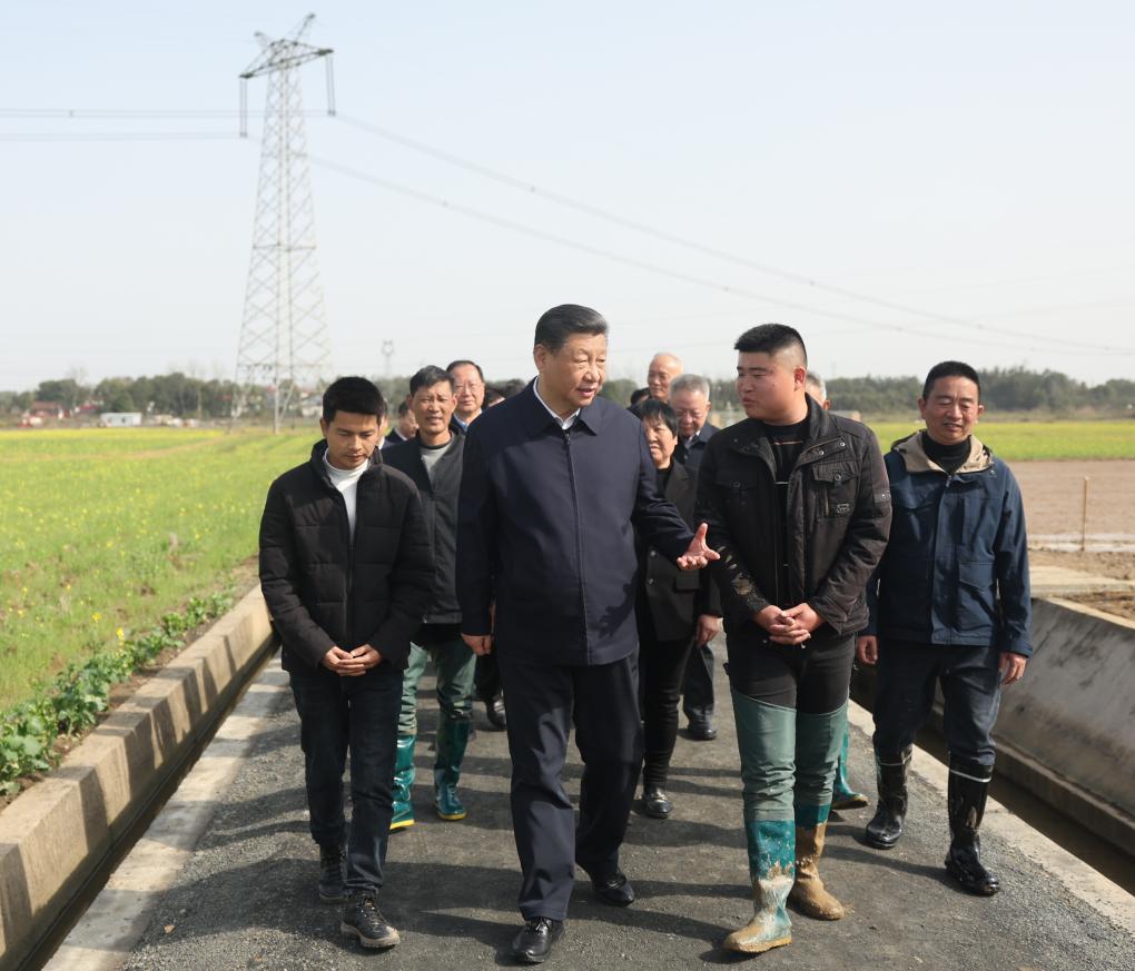 President Xi Jinping inspects spring farming and its preparation work while visiting Gangzhongping Village of Xiejiapu Town, Dingcheng District, Changde, Hunan Province, March 19, 2024. /Xinhua