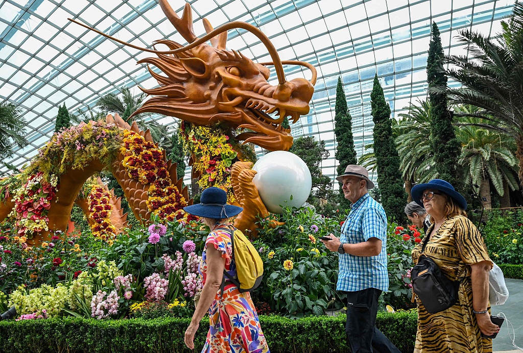 Visitors walk past a dragon-shaped sculpture displayed to celebrate the Lunar Year of the Dragon inside the flower dome at Gardens by the Bay in Singapore on  February 1, 2024. /CFP