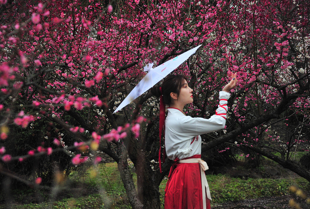 In this photo taken in March 2024, a hanfu enthusiast poses for a picture against a backdrop of flowers. /CFP