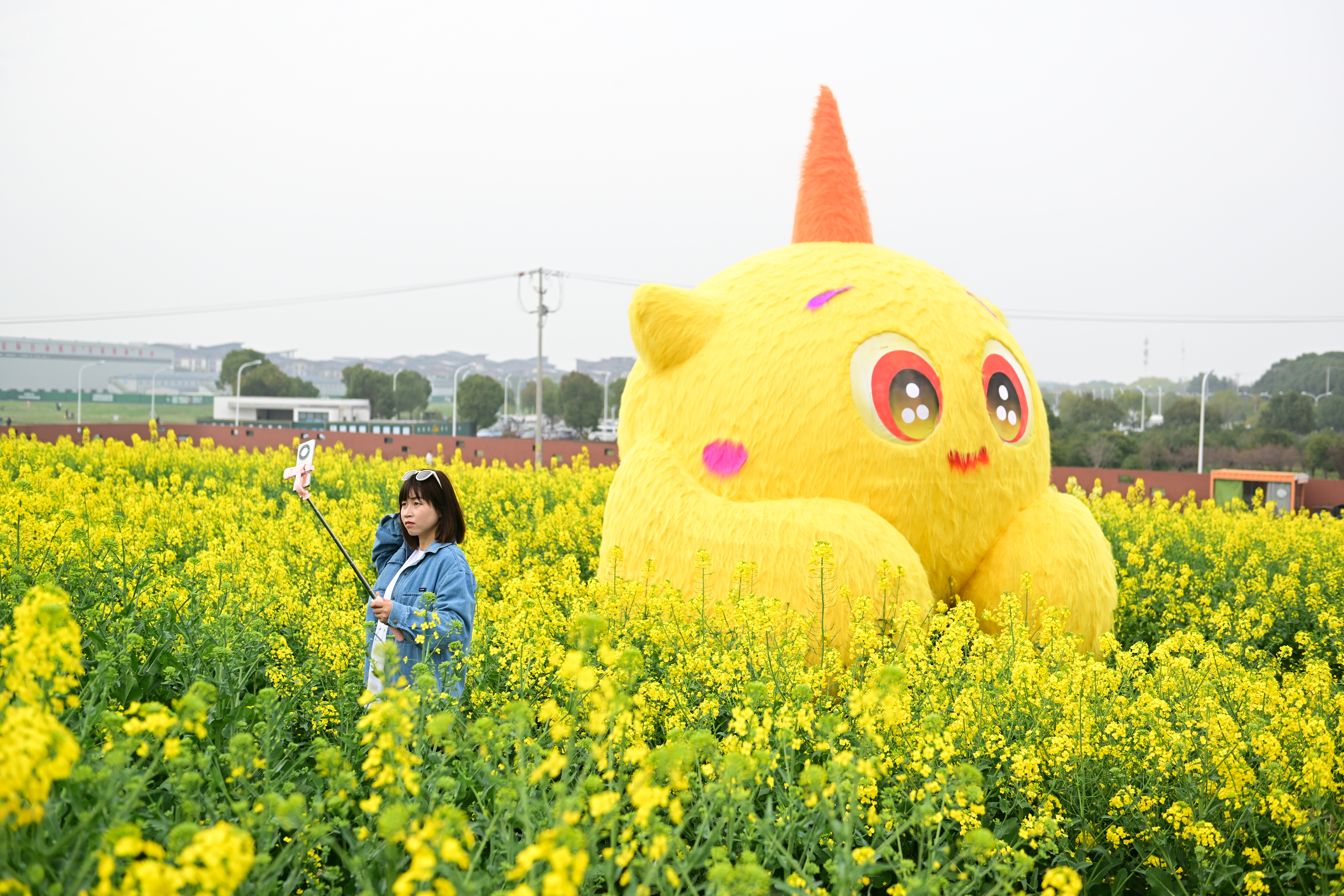 A girl captures selfies in the rapeseed flower field at the Peninsula Pastoral, a fun-filled vegetable and plant exploration park in Suzhou, east China's Jiangsu Province, on March 24, 2024. /IC