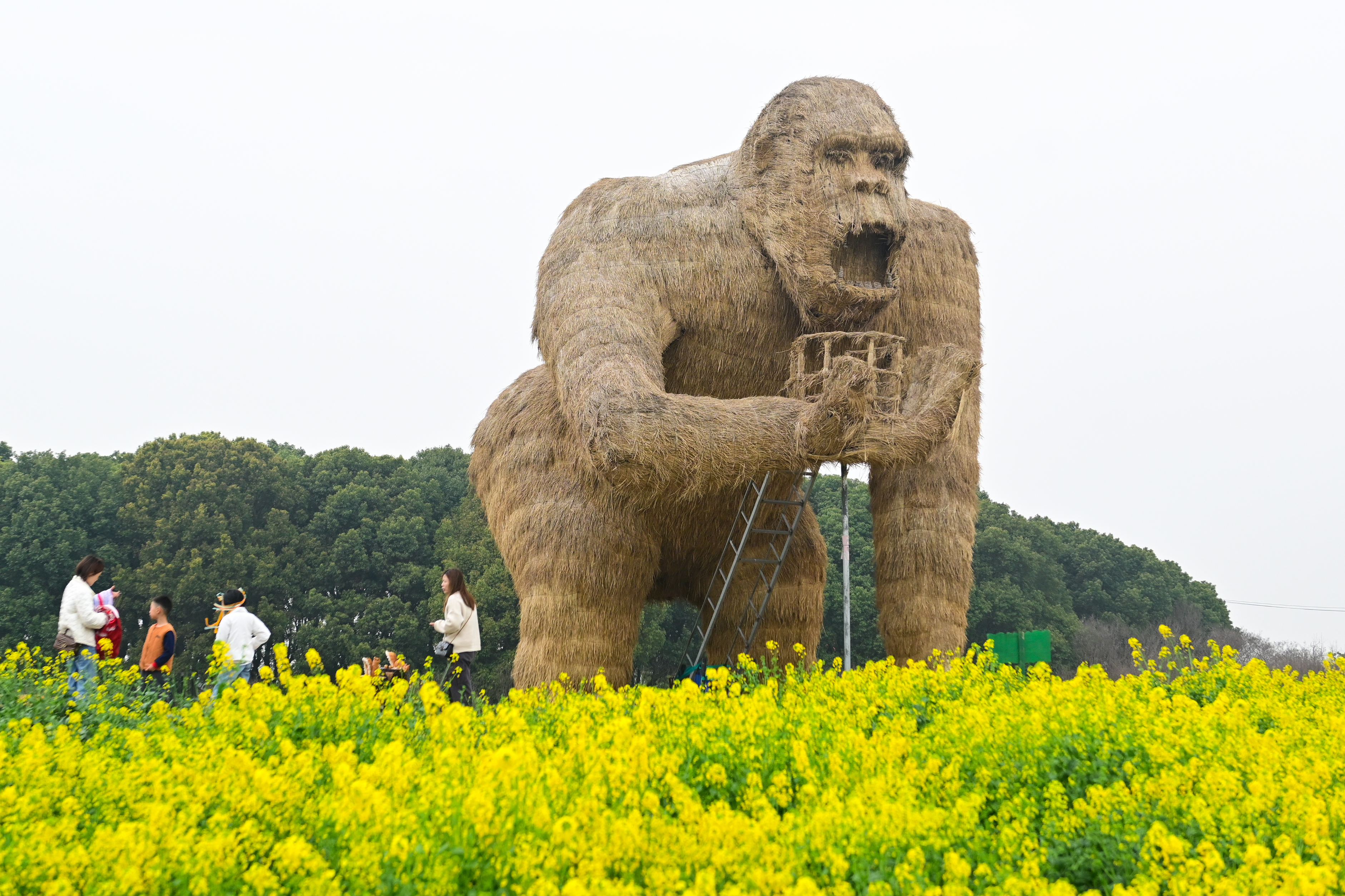 A gorilla-shaped installation is seen at the Peninsula Pastoral, a fun-filled vegetable and plant exploration park in Suzhou, east China's Jiangsu Province, on March 24, 2024. /IC