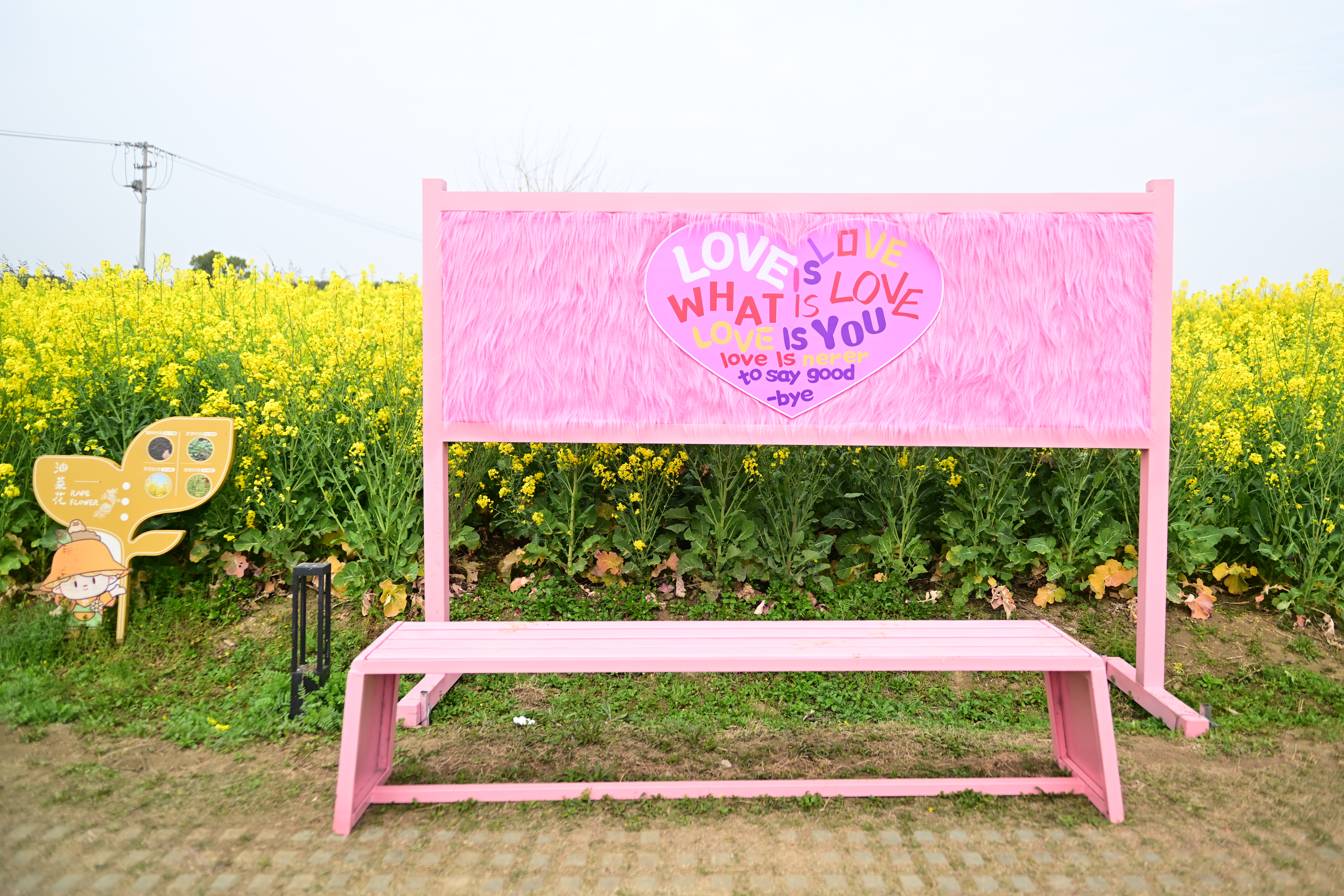 A beautifully adorned bench provides the perfect spot for resting and capturing photos at the Peninsula Pastoral, a fun-filled vegetable and plant exploration park in Suzhou, east China's Jiangsu Province, on March 24, 2024. /IC