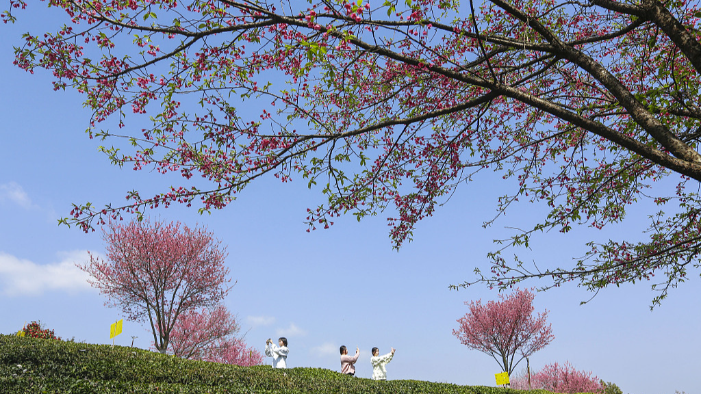 Live: Captivating beauty of spring season around China – Ep. 4