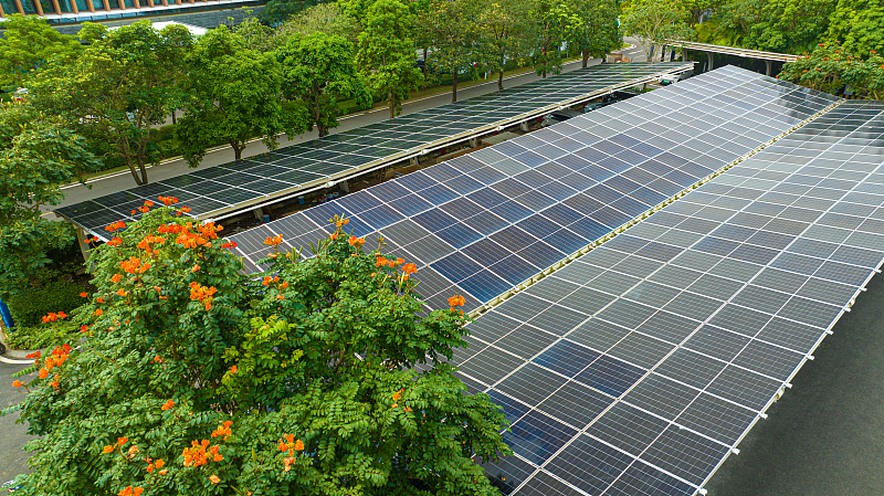Solar panels and charging piles are surrounded by trees in the Boao Near-Zero Carbon Demonstration Zone, south China's Hainan Province, March 17, 2024. /CFP