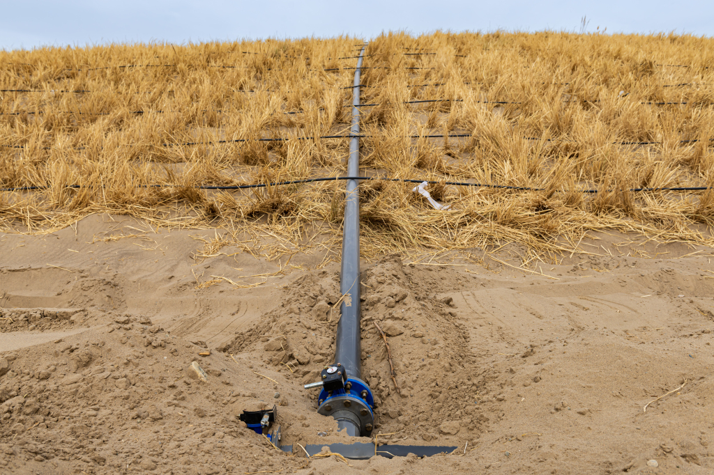 Pipelines in the grass grids in Jinta County, Jiuquan City, northwest China's Gansu Province, March 22, 2024. /CFP