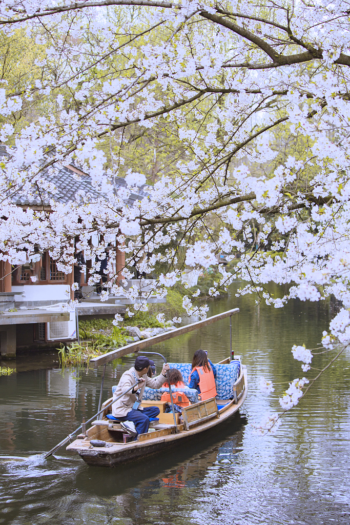 A group of tourists take a boat ride on the lake to enjoy the beautiful scenery of cherry blossoms in Hangzhou, Zhejiang Province, on March 26, 2024. /CFP