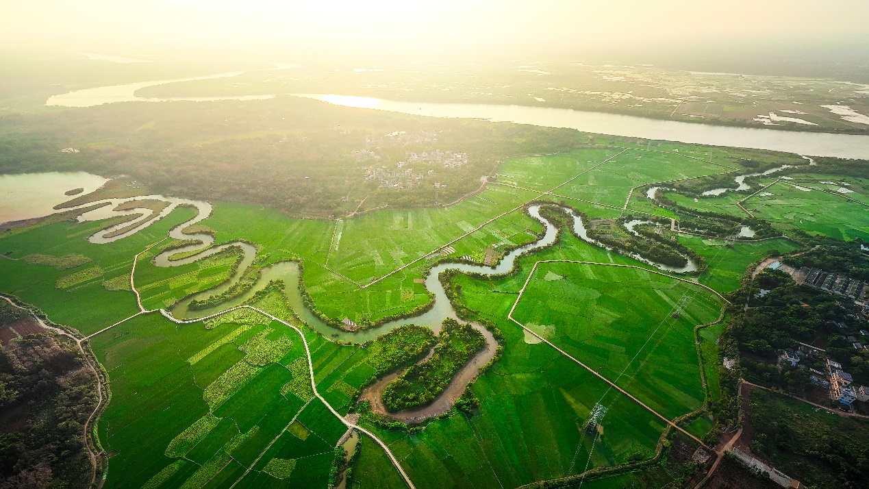 An undated photo shows an aerial view of the Thirty-Six Bends Provincial Wetlands Park in Haikou, south China's Hainan Province. /Photo provided to CGTN by Mao Zehao