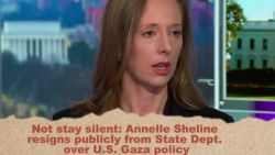 Annelle Sheline Resigns From State Dept. Over U.S. Gaza Policy - CGTN