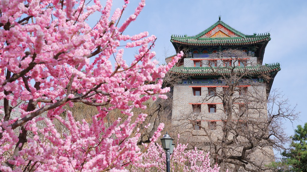 Live: Captivating beauty of spring around China – Ep. 7