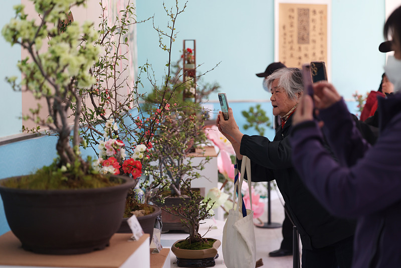 Visitors take photos of blooming begonia flowers at Taoranting Park in Beijing, March 30, 2024. /CFP