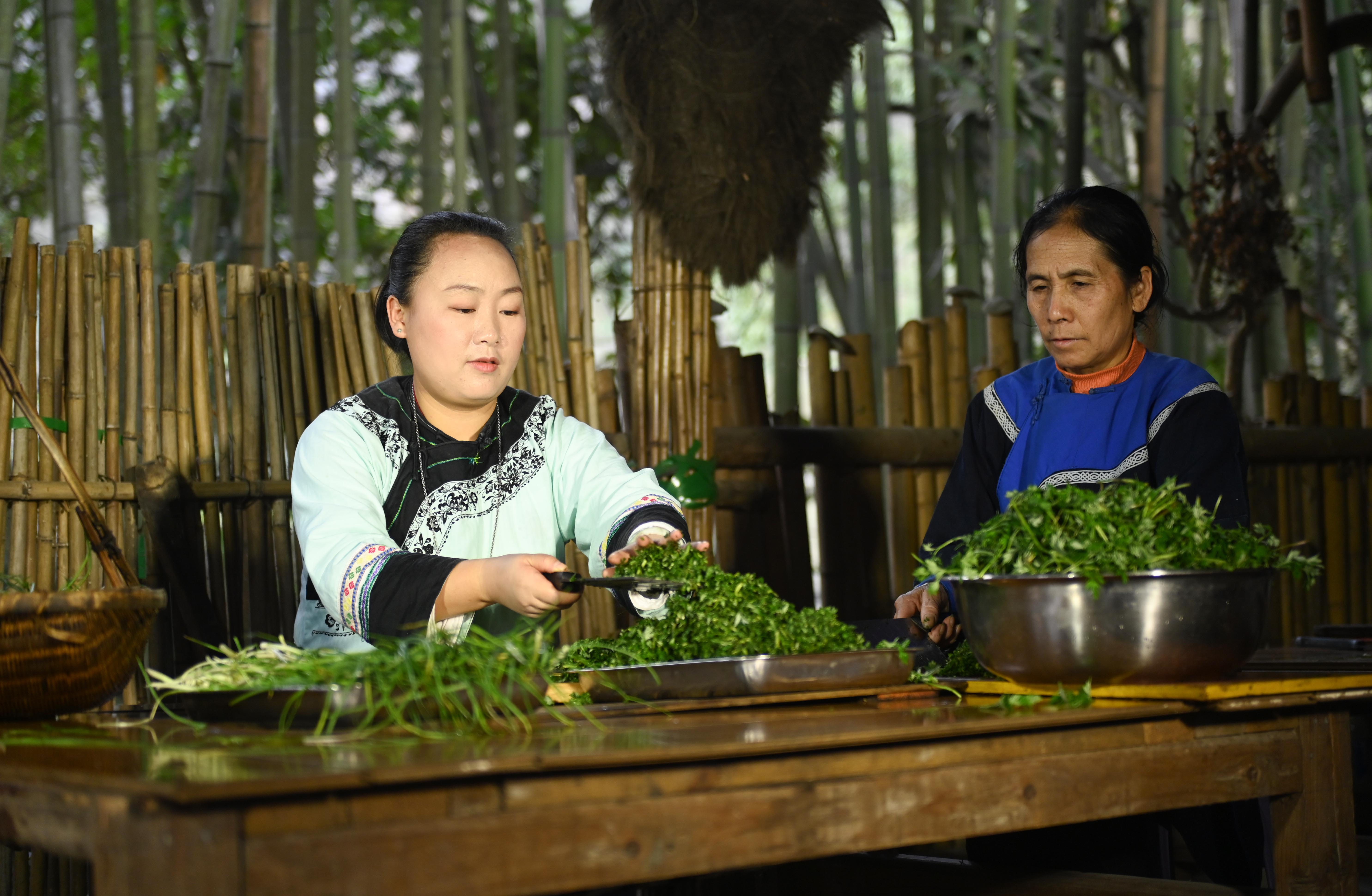 Locals chop sweet wormwood in Songtao Miao Autonomous County, Guizhou Province on March 24, 2024. /Photo provide to CGTN