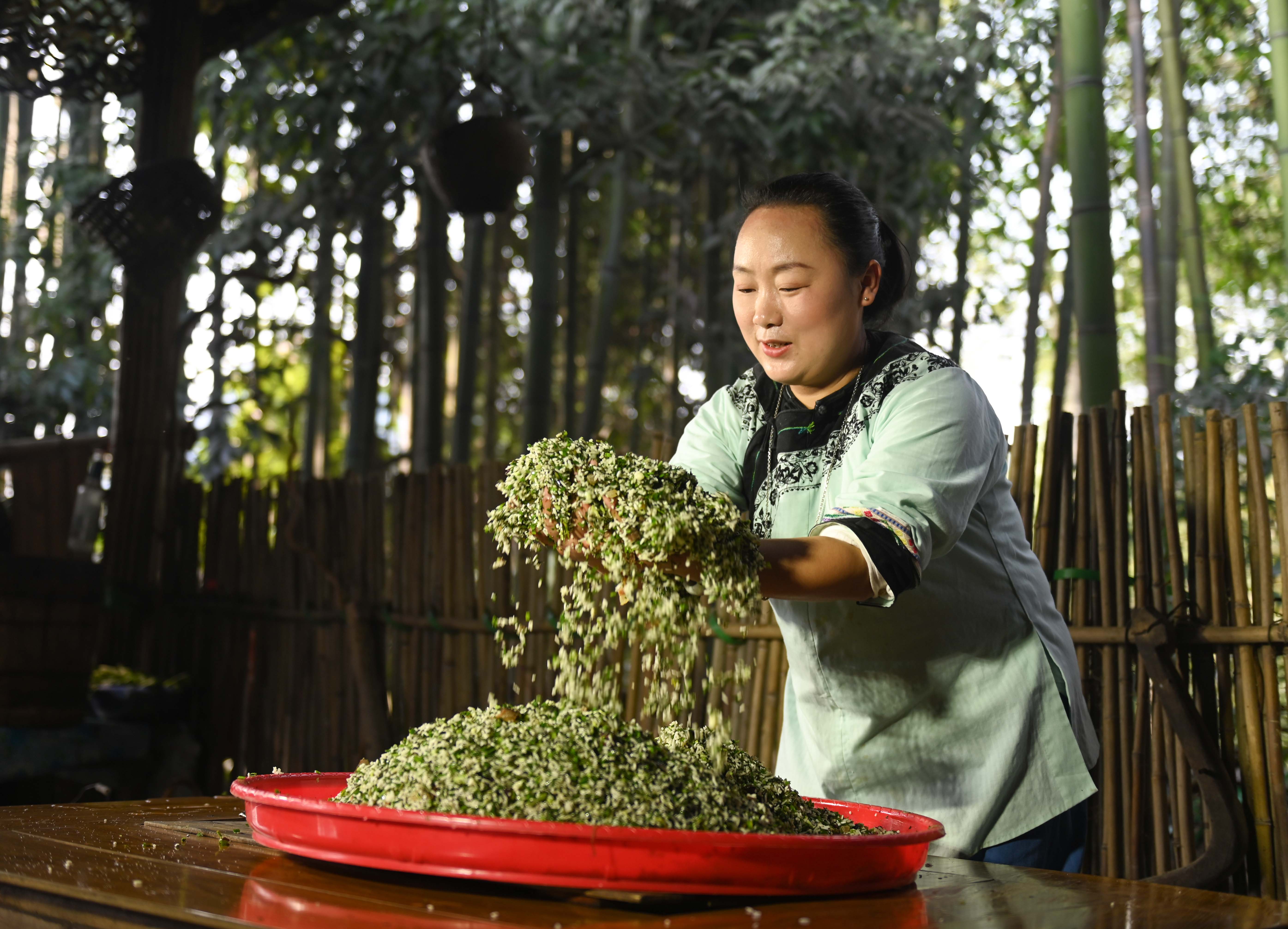 A woman mixes and stirs the ingredients of Shefan in Songtao Miao Autonomous County, Guizhou Province on March 24, 2024. /Photo provide to CGTN 