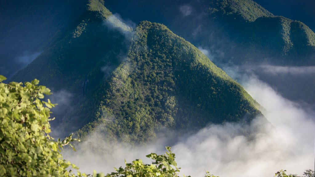 Discovery of coral fossils unveils Qinling Mountains' underwater past