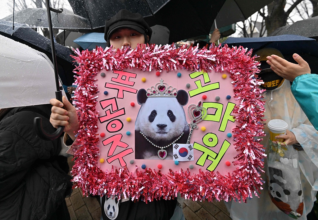 A panda fan holds a sign reading 