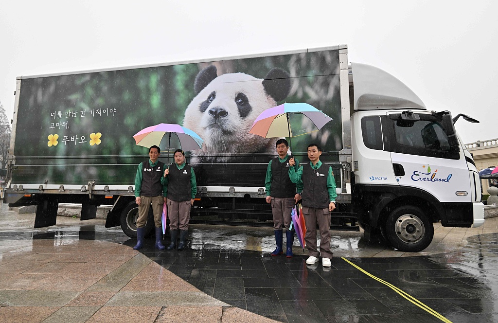 A special vibration-free vehicle carrying giant panda Fu Bao leaves Everland Resort in Yongin, South Korea, on April 3, 2024. /CFP