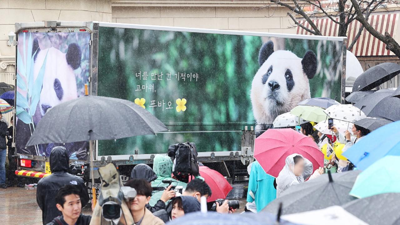 South Koreans hold tearful farewell for beloved panda - CGTN