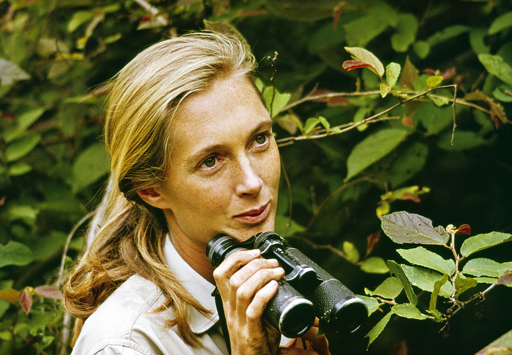 Jane Goodall appears in the television special 