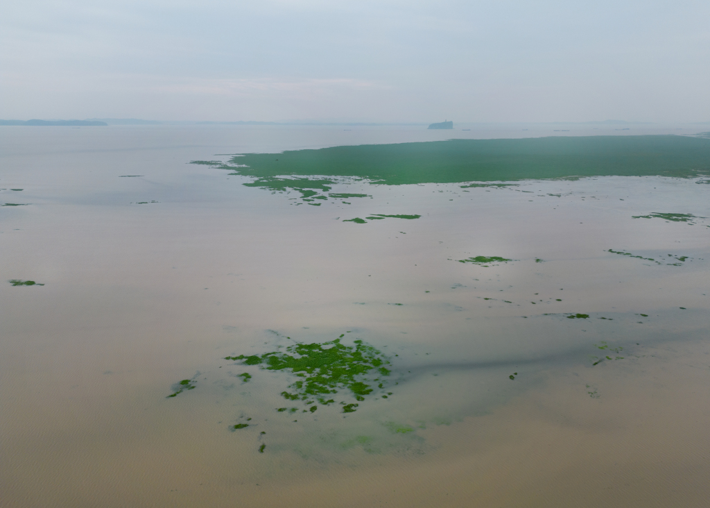 Grassland flooded around Xieshan Mountain in Poyang Lake, Jiangxi Province, east China, April 5, 2024. /CFP