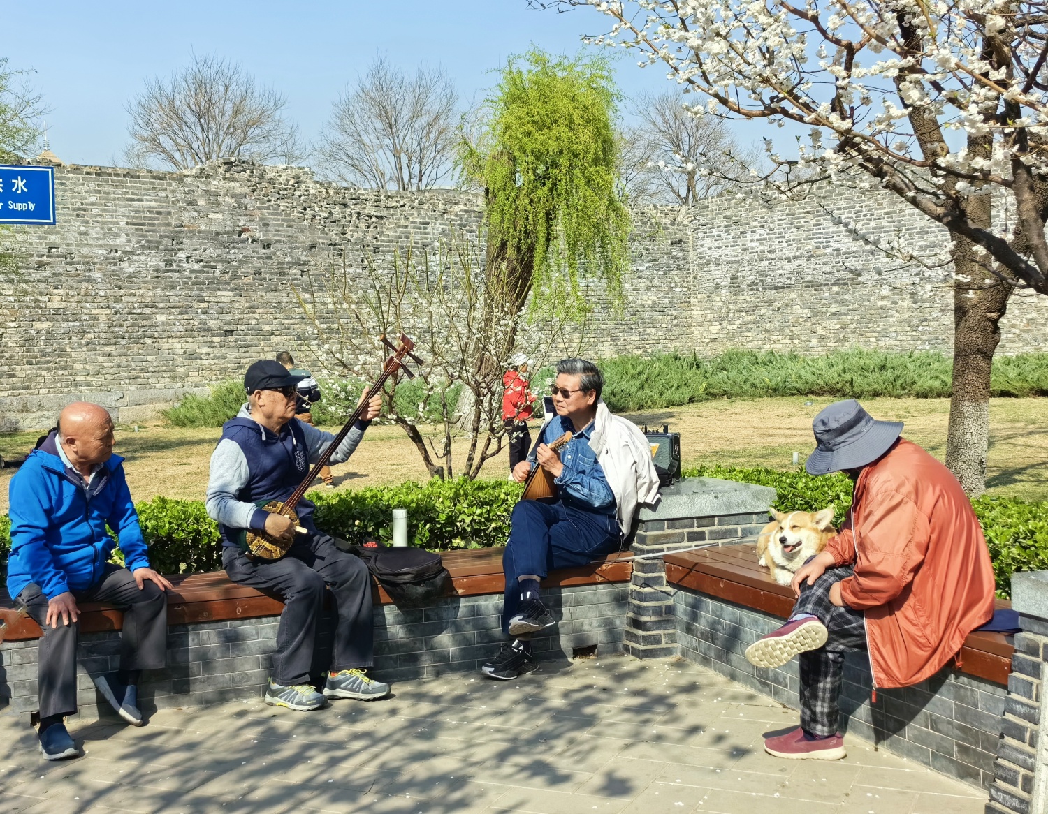 People play traditional Chinese instruments at the Ming City Wall Ruins Park in Beijing on March 31, 2024. /CGTN