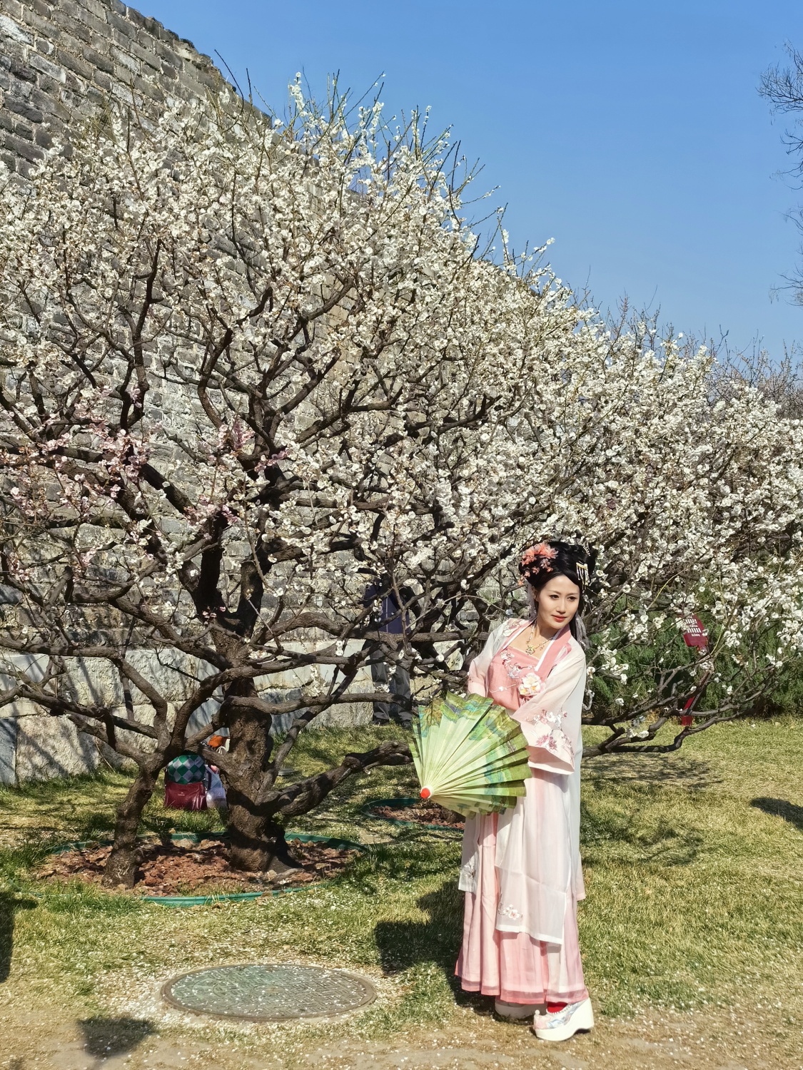 A woman in traditional Chinese attire poses for a photo under a plum tree at the Ming City Wall Ruins Park in Beijing on March 31, 2024. /CGTN